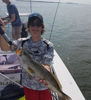 Fly Fishing For Sea Tout In Cape Coral